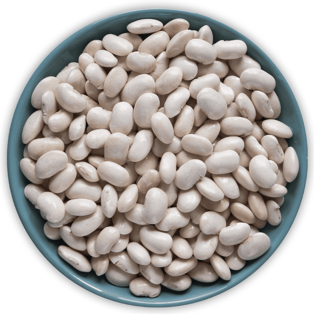 Arida White Beans - Alorobia Roastery