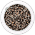 Load image into Gallery viewer, Black Mustard Seeds 150g - Alorobia Roastery
