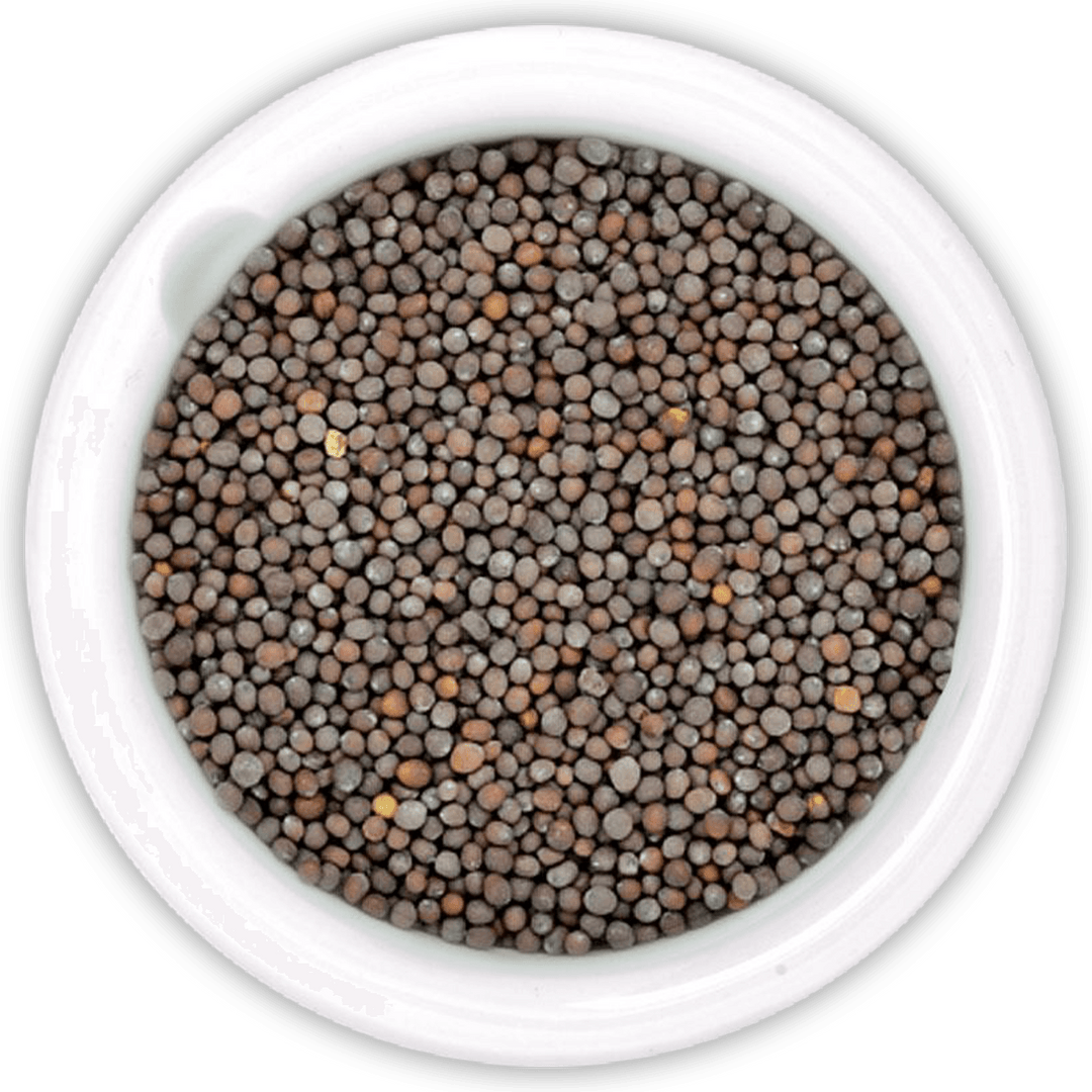 Black Mustard Seeds 150g - Alorobia Roastery