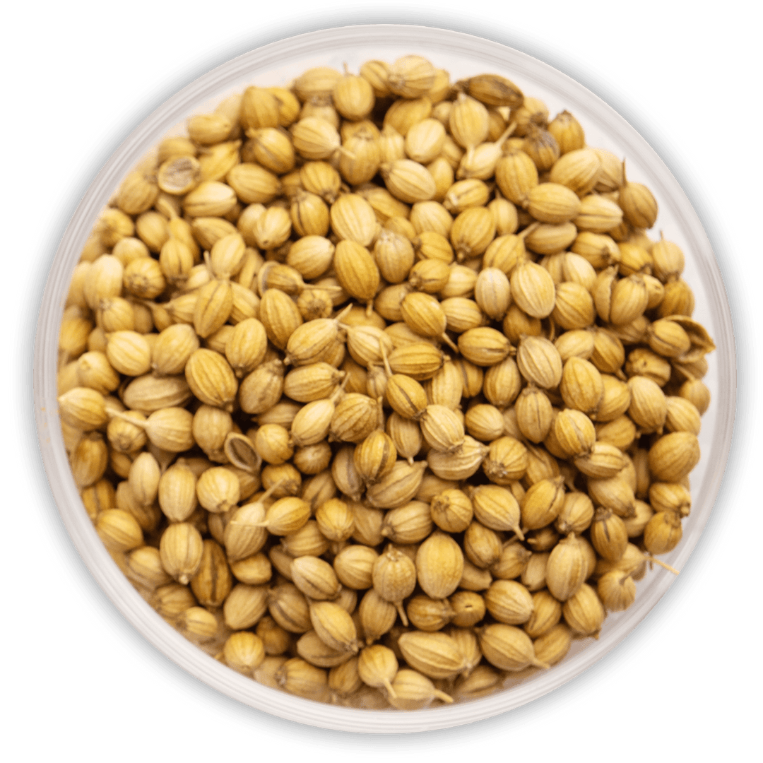 Coriander Seeds 150g - Alorobia Roastery