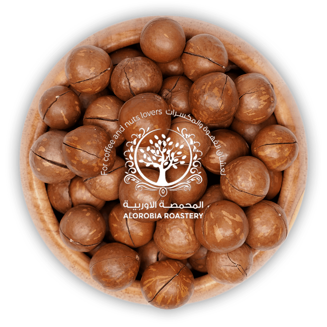 Macadamia Shell - Alorobia Roastery